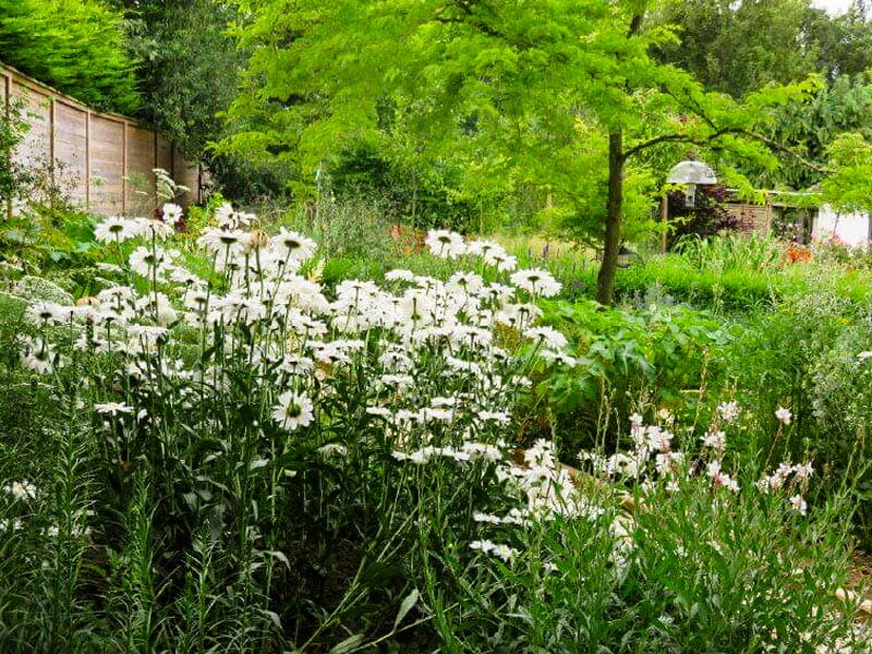 Biodiversity Mitigation Hierarchy How Fencing Protects Wildlife