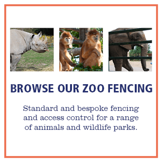Zoo Fencing Options