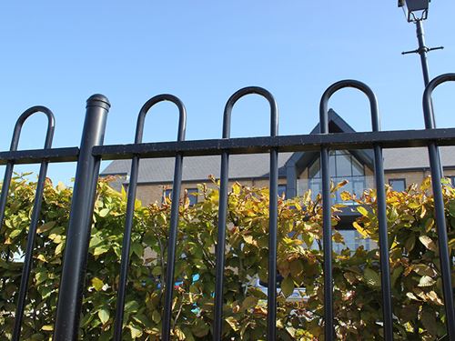 Jacksons Bow Top Railings