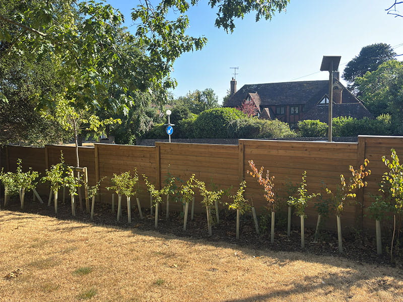 Timber acoustic barriers