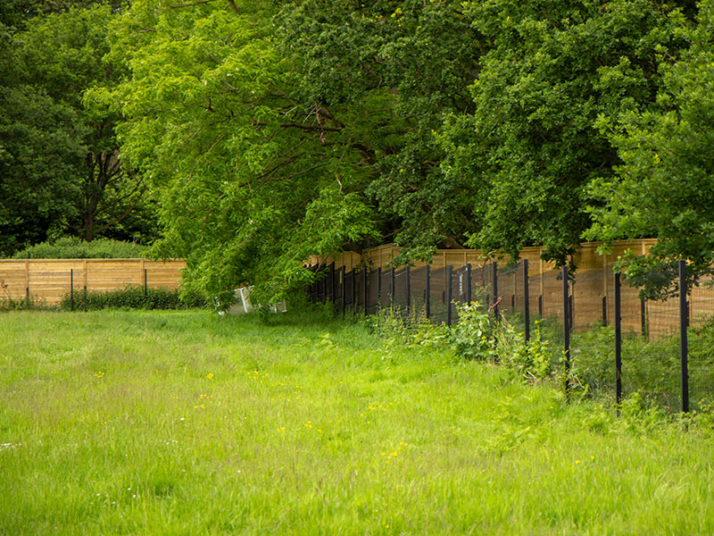 Acoustic fencing