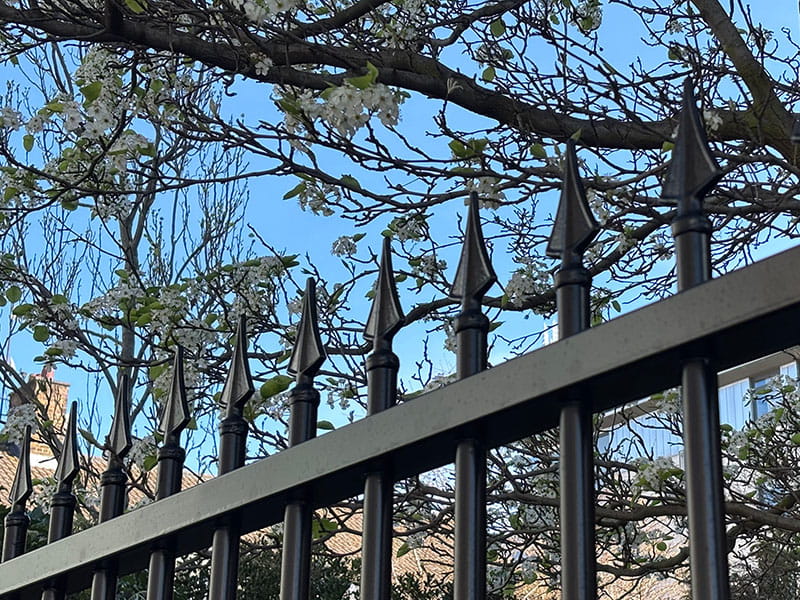 Black railings with finials