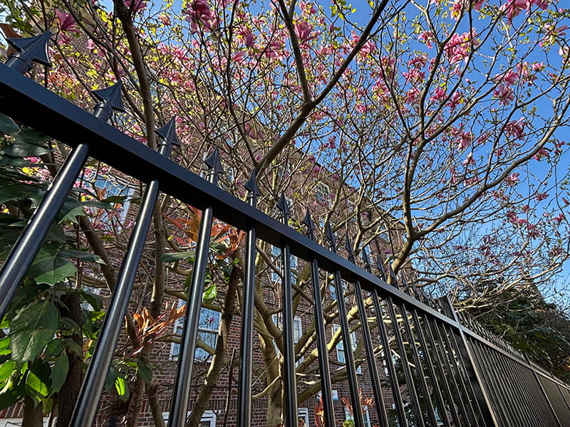 Black vertical bar railings