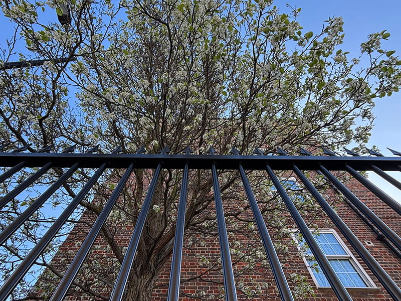 Vertical bar fencing