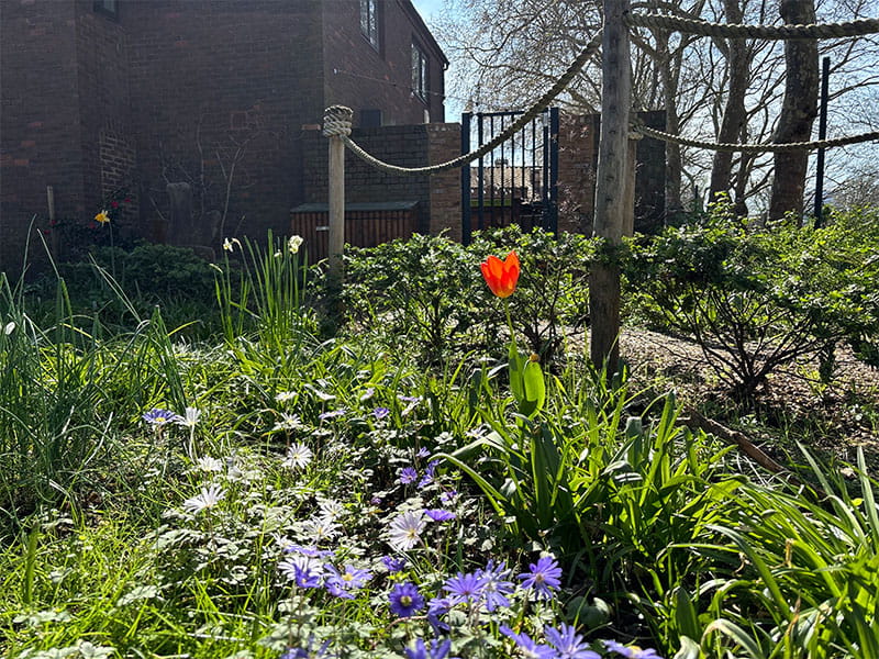 Metal Gates and Fencing in London