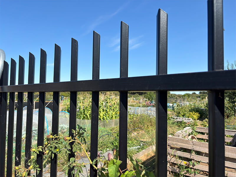 Allotment black metal security fencing