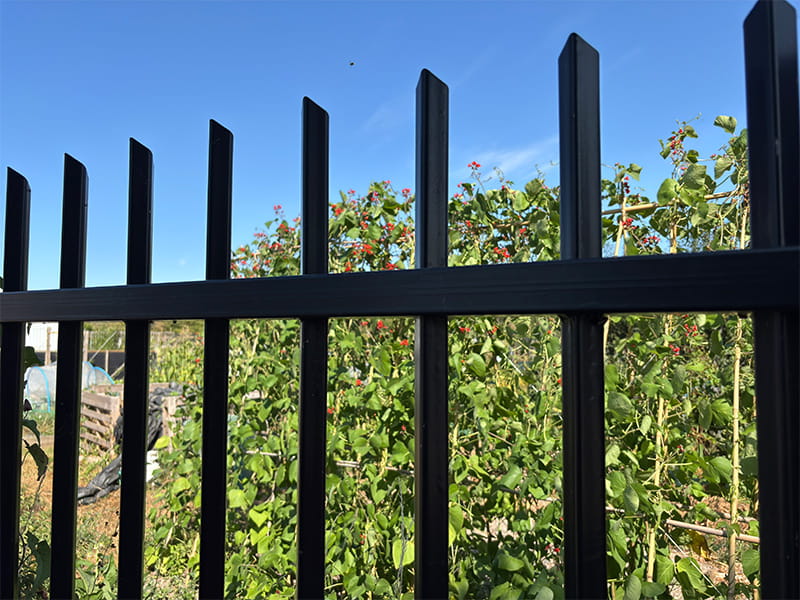 Allotments Metal Security Fencing