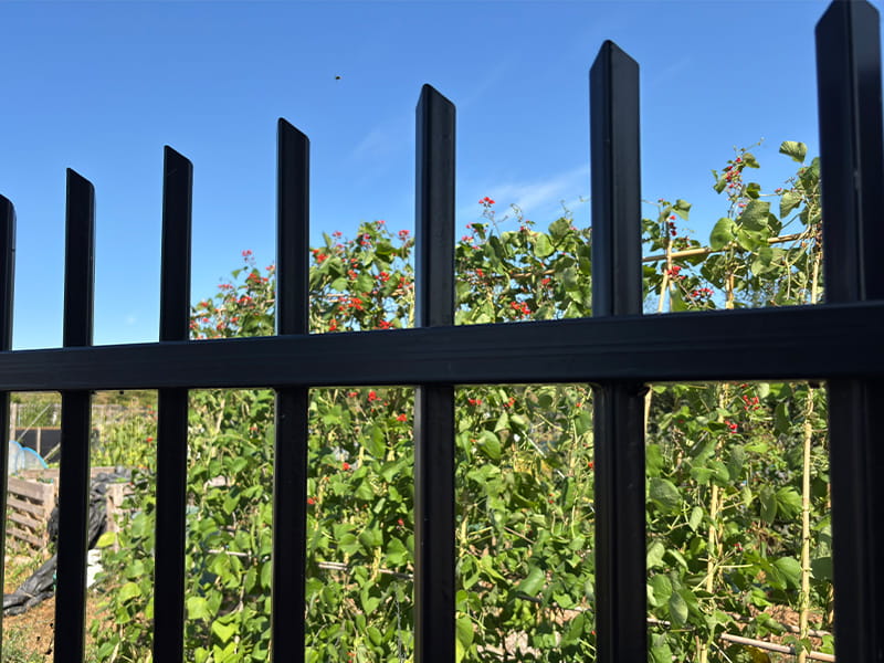 Black metal security fencing
