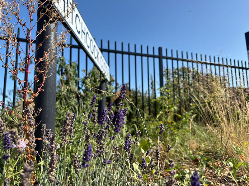 Metal Security Fencing for Allotments