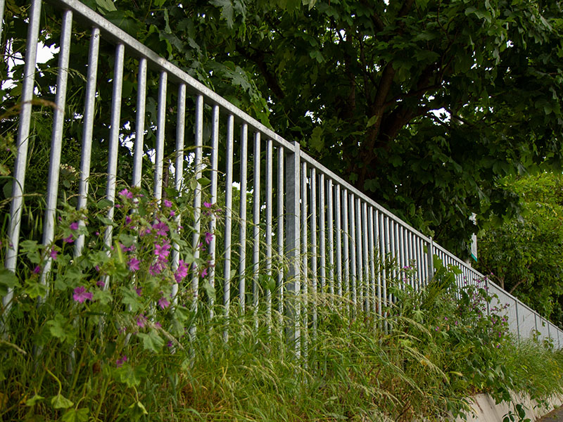 Galvanised fencing