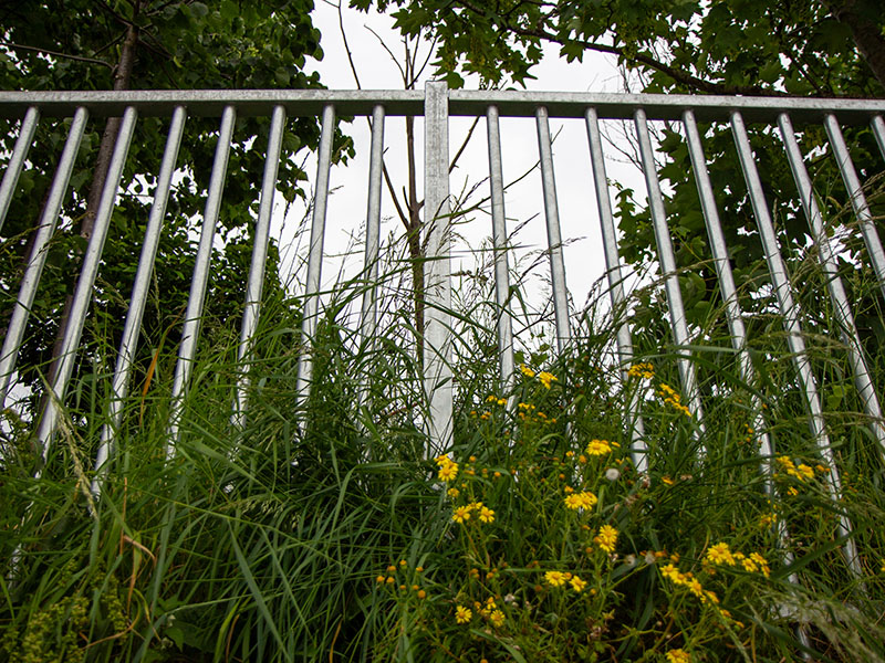 Security fencing
