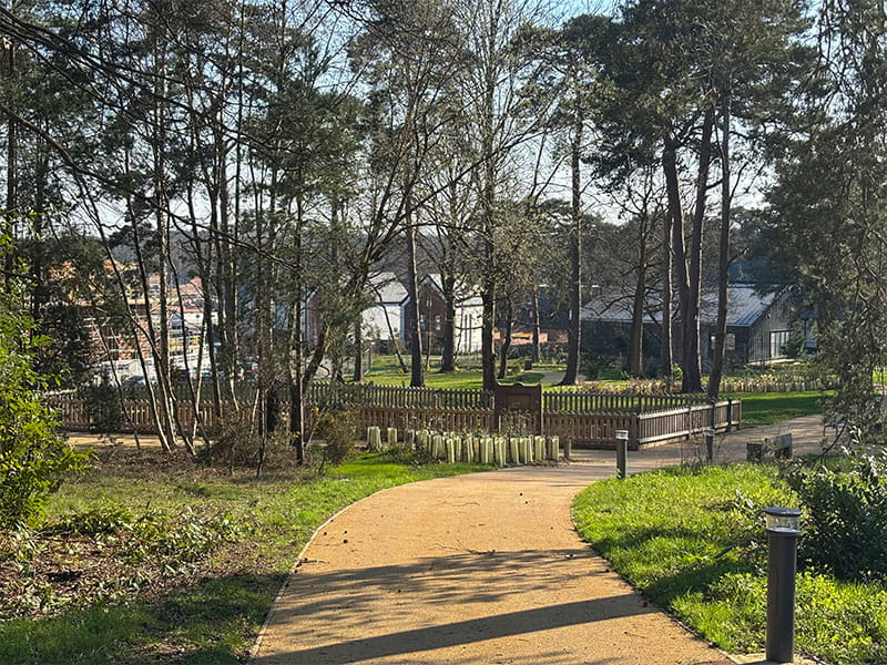 Safe Park Timber Fencing