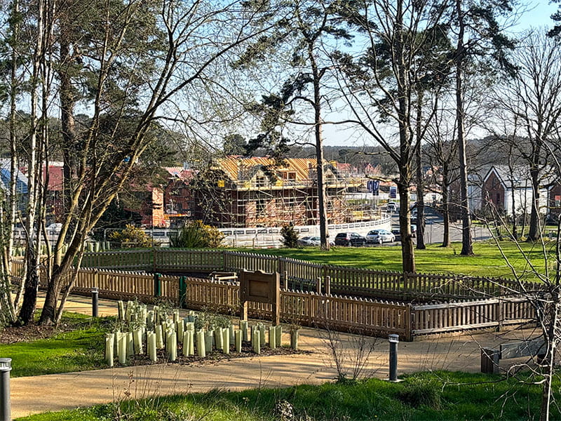 Timber Playtime fencing