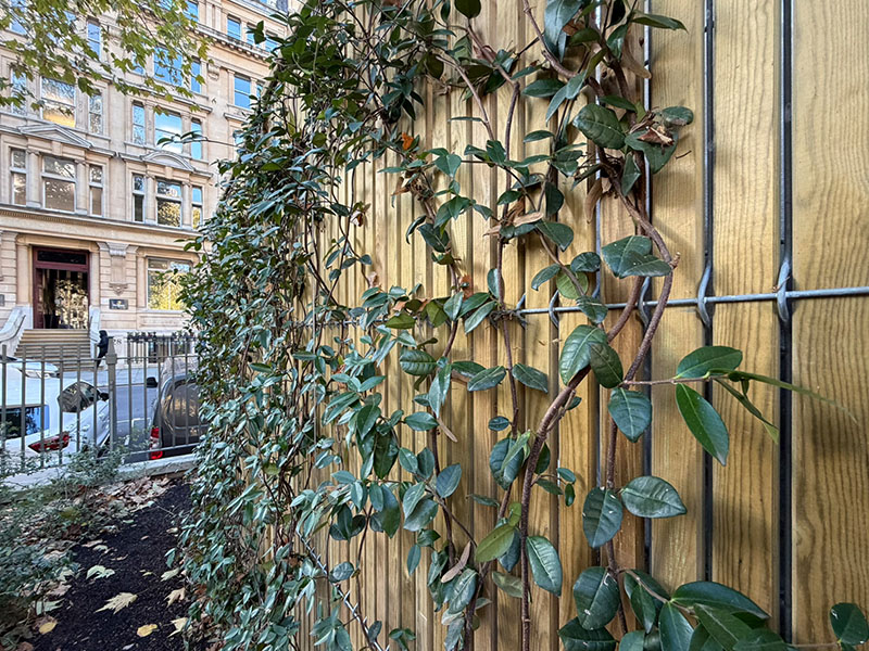 EuroGuard Fencing Finsbury Park Gardens