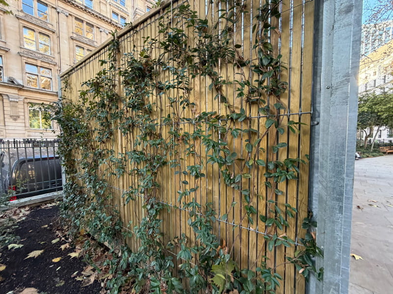 EuroGuard Security Fencing Galvanised Steel and Timber