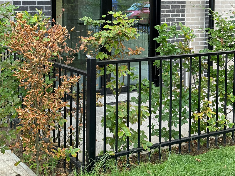 Demarcation railings