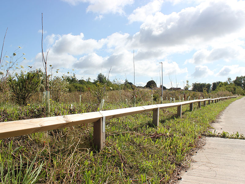 Diamond rail fencing