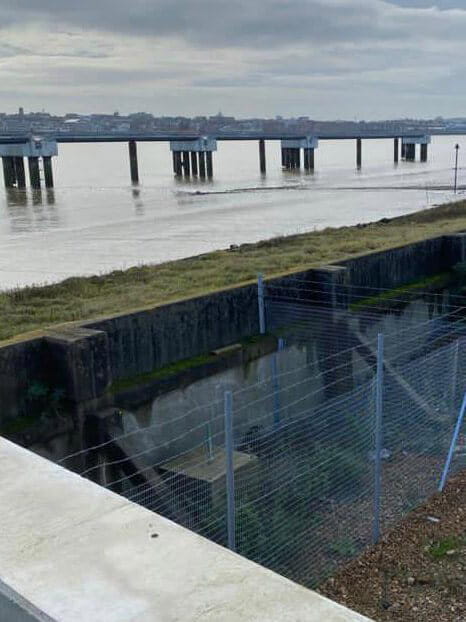 Perimeter Intrusion Detection Systems
