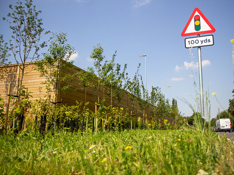 Timber acoustic barrier