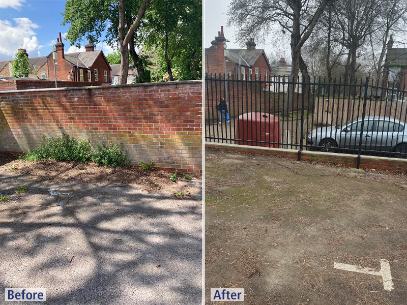 Social Club Fencing