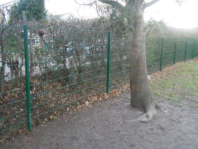Security fencing