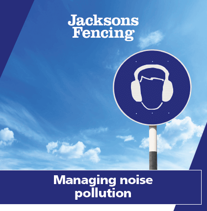 Managing noise pollution