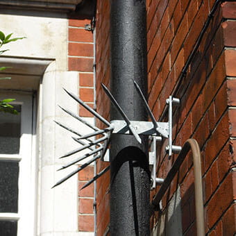 Drainpipe security topping