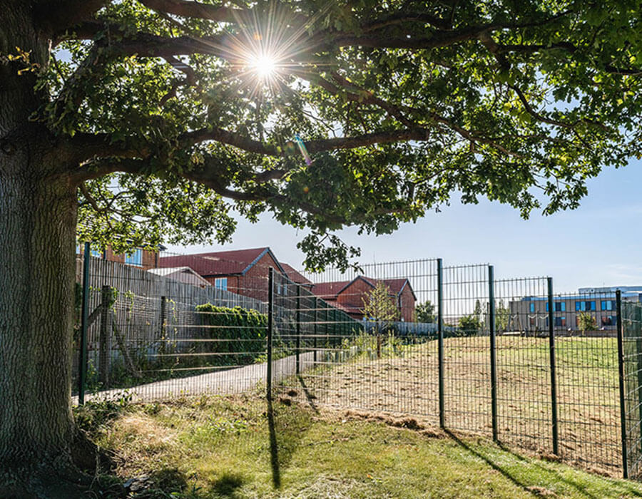 Primary school fencing