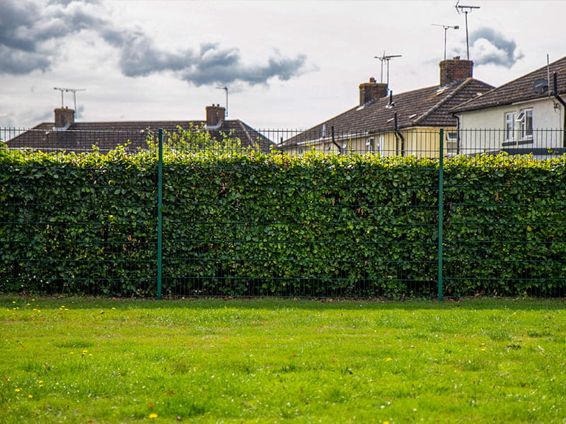 twin-wire-mesh-fences