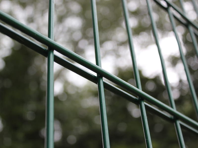 Twin wire mesh security panels