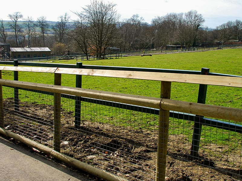 wildlife park fencing