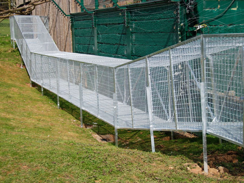 zoo enclosure fencing