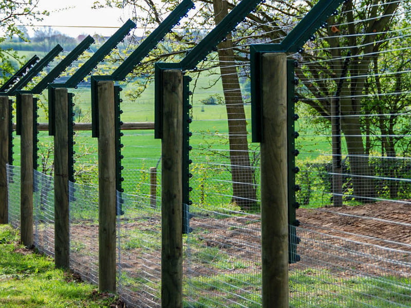 zoo enclosure fencing