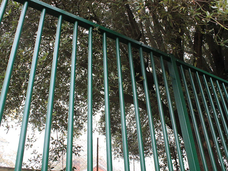 Sentry SR1 Fencing
