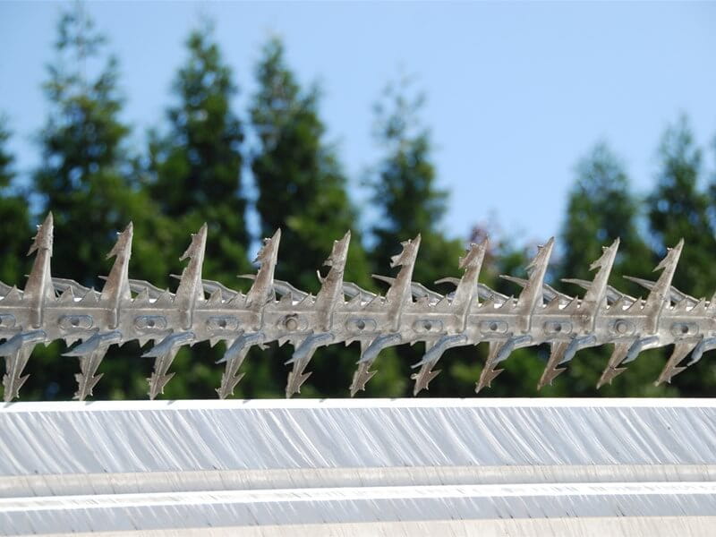 Cobra Spike Rotary (1)