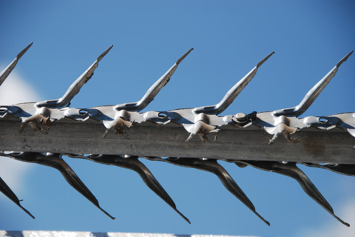 Cobra Spike Rotary (2)