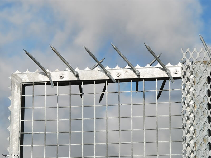 Viper spike on fencing