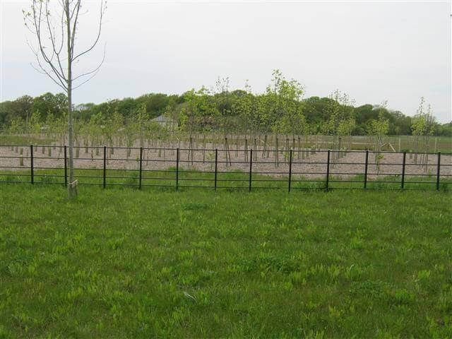 Black Metal Estate Railings