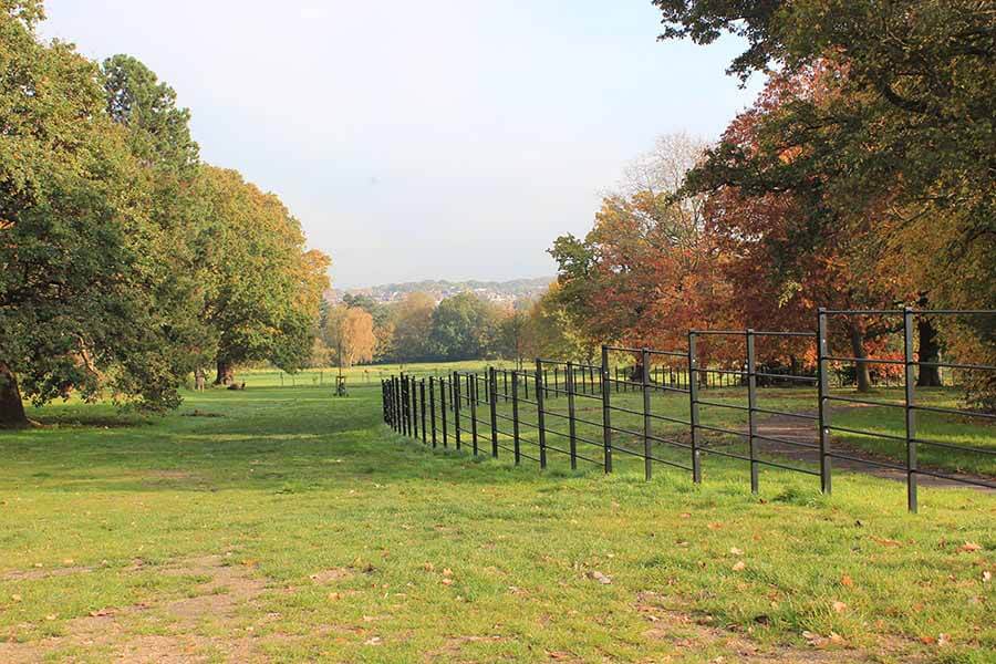 Estate railings in park RAL 9005 black