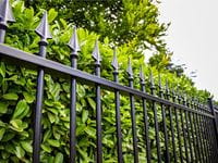 Steel ornamental fence