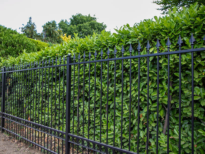 Traditional Wrought Iron Style Railings