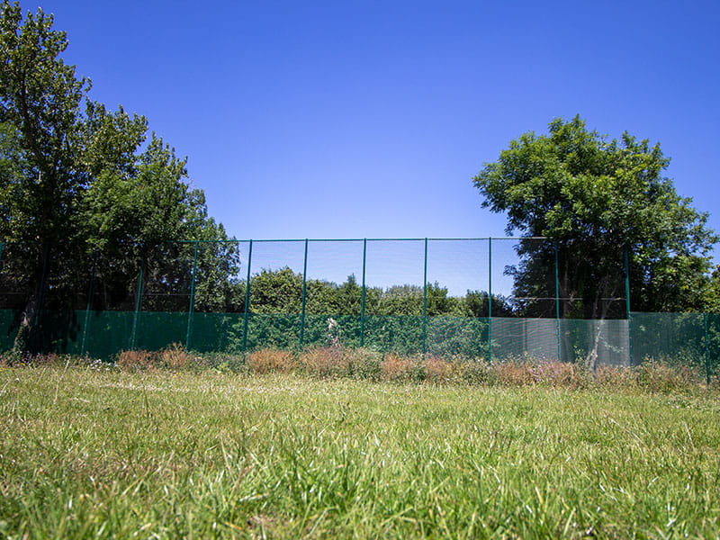 Sports fencing