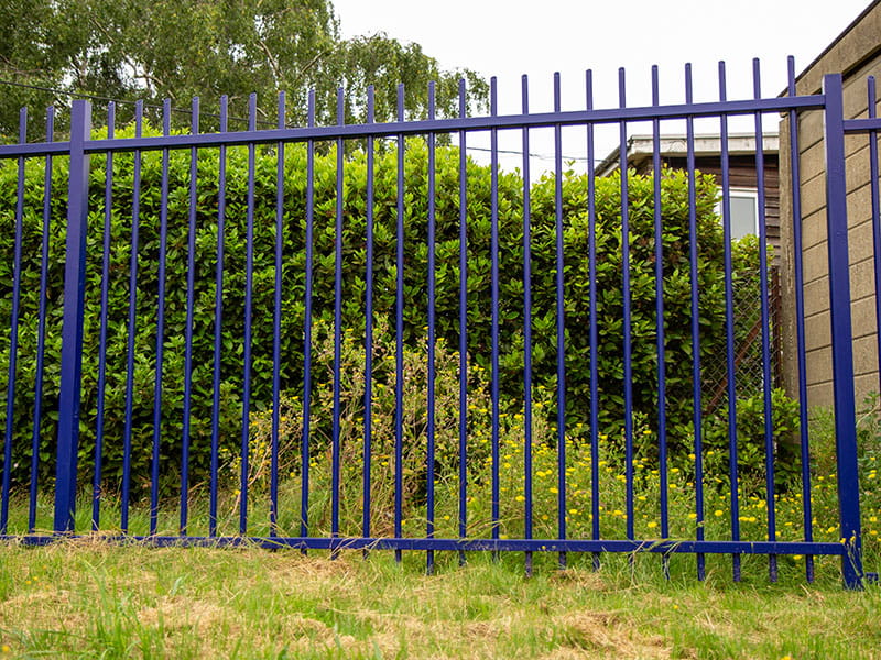 Dark blue vertical bar railings