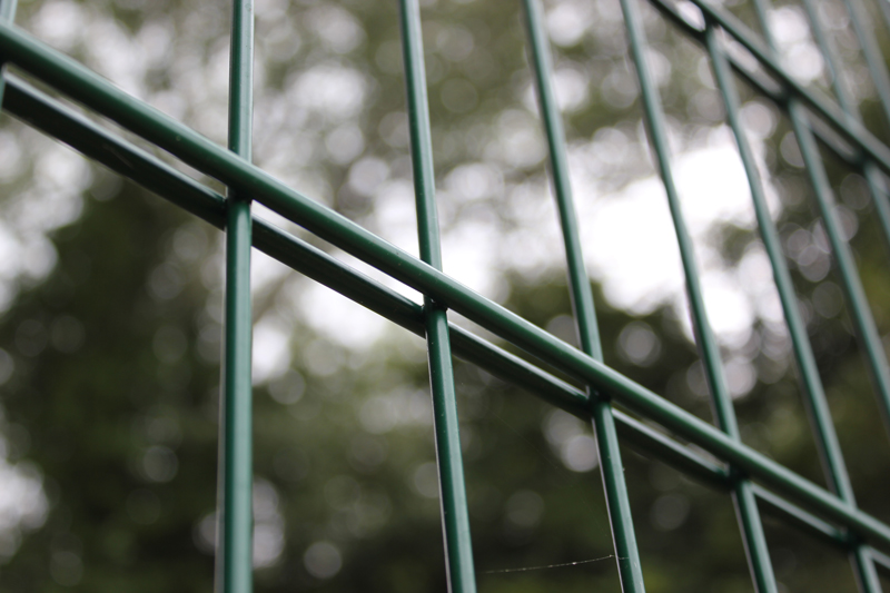 Twin wire mesh security panels