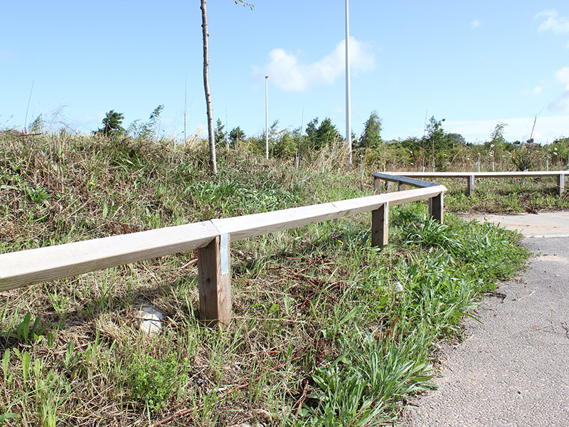 Diamond rail fencing