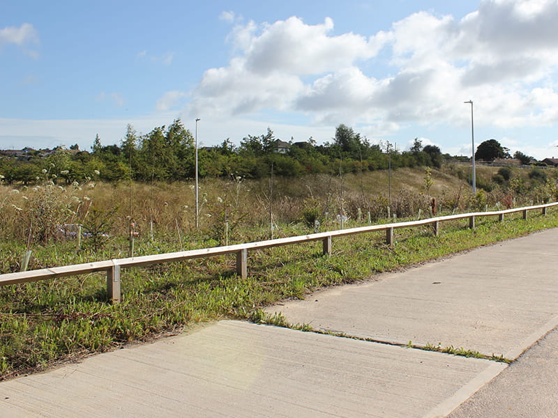 Timber knee rail fencing