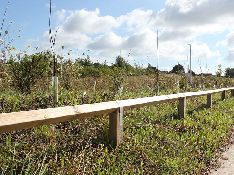 Timber knee railing