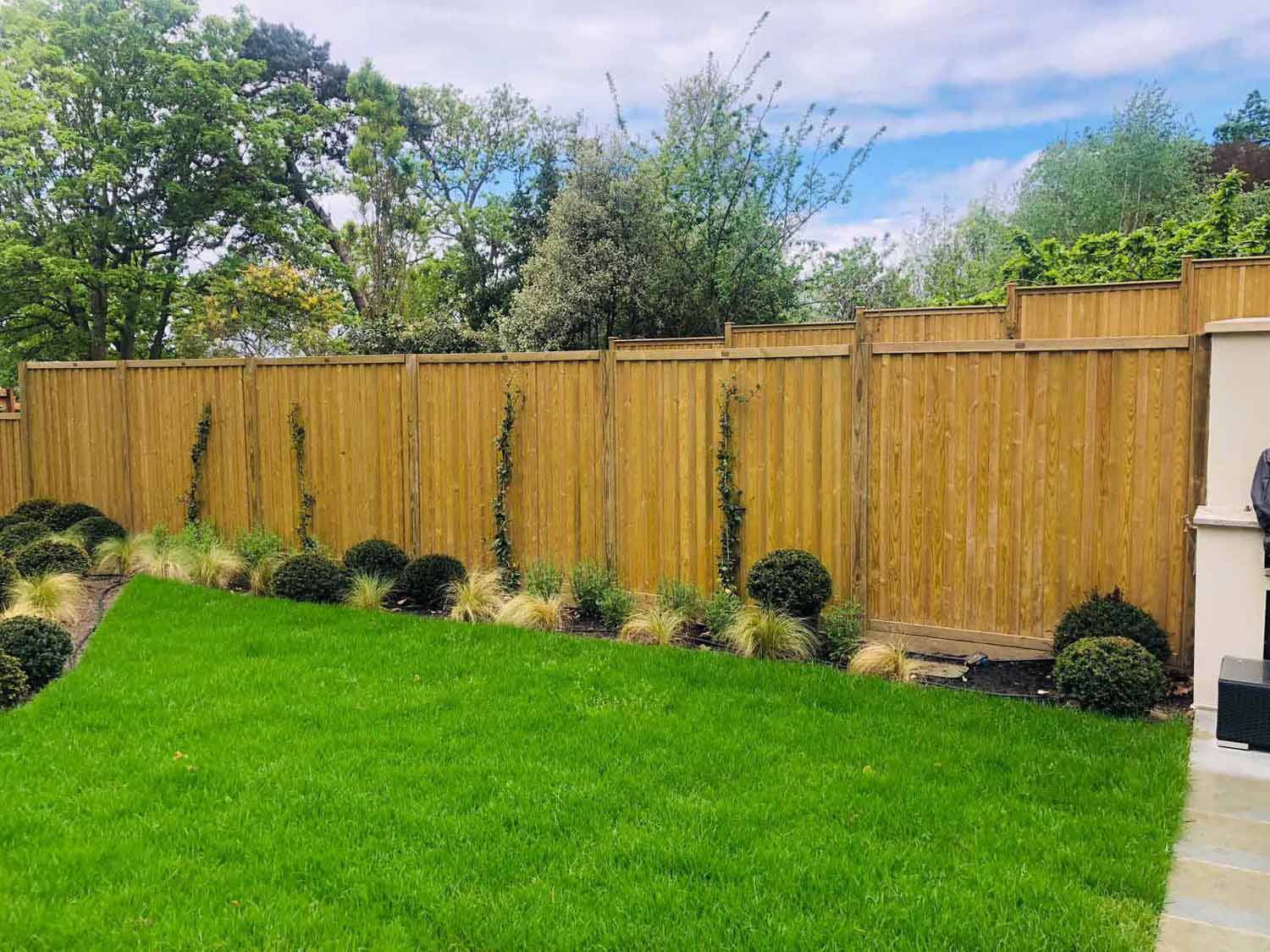 privacy fencing