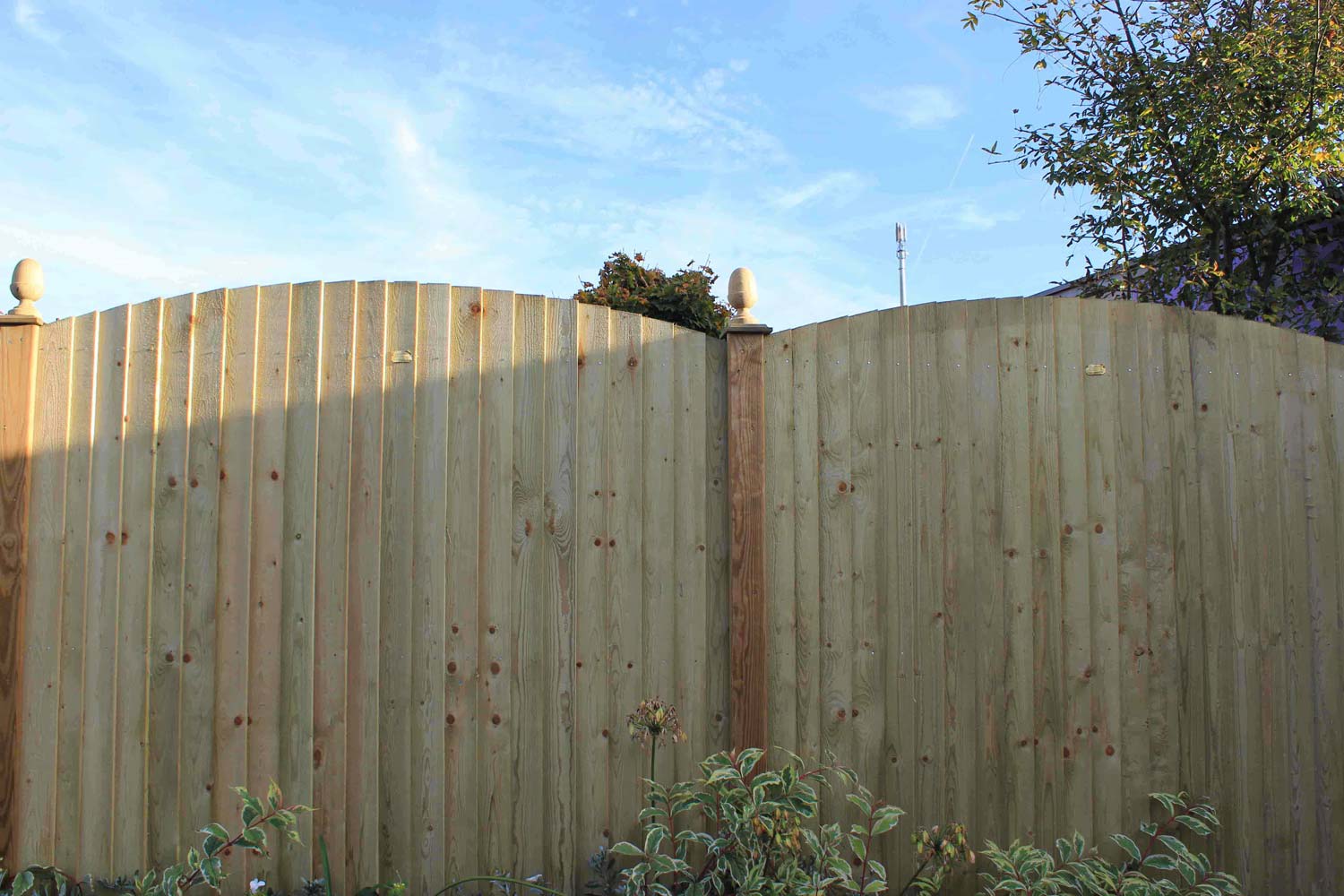 Featherboard fence panels