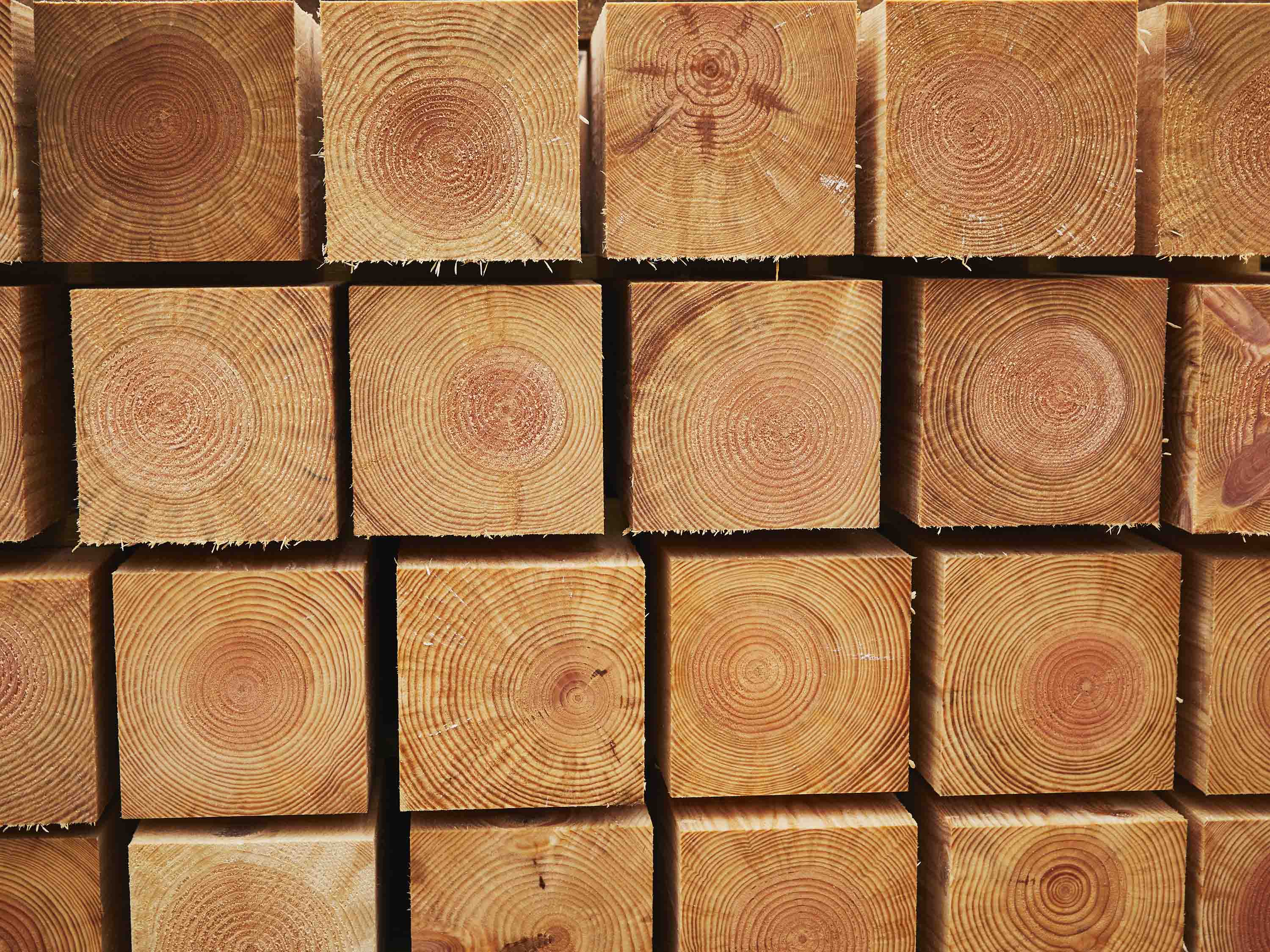 Timber Treatment